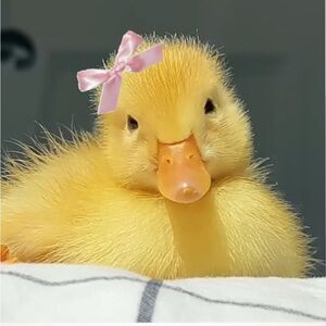 Meet your Posher, Savanna